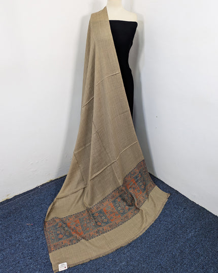 Exquisite Wool Pashmina with Kani Border Work Shawl