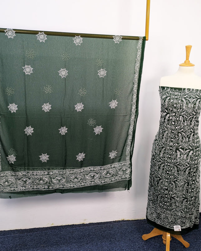 Fancy Chiffon With Chikankari Shadow Work
