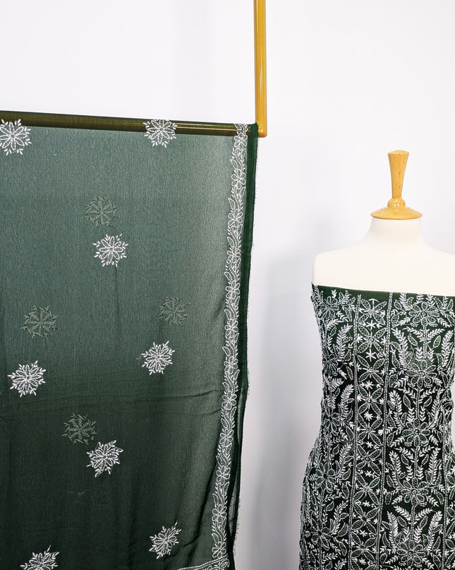 Fancy Chiffon With Chikankari Shadow Work