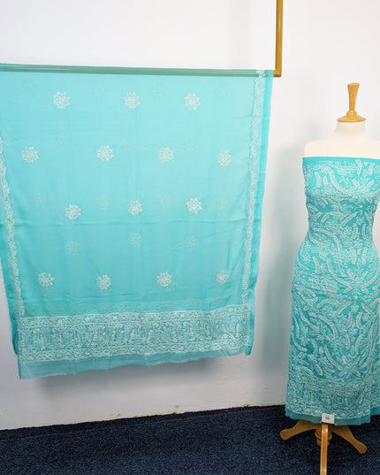 Fancy Chiffon With Chikankari Shadow Work