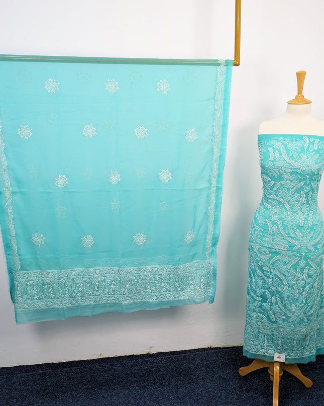 Fancy Chiffon With Chikankari Shadow Work