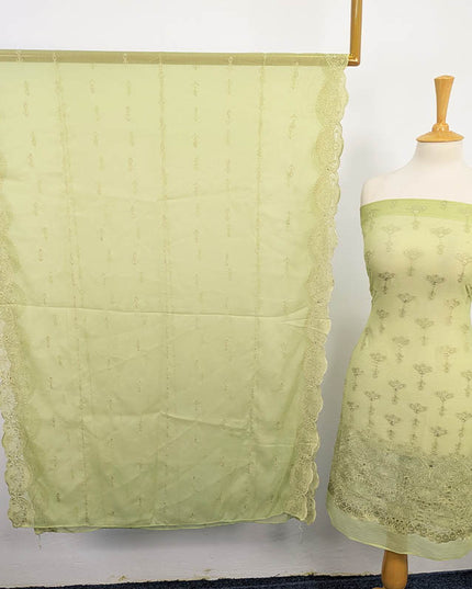 Embroidered Chiffon With Chikankari Cut Work 2PC Unstitched