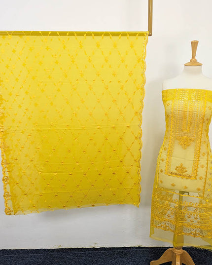 Luxury Embroidered Organza Dress 2PC – Apka Libas