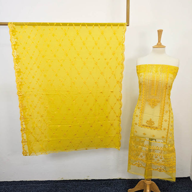 Luxury Embroidered Organza Dress 2PC – Apka Libas