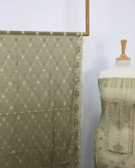 Fancy Embroidered Organza 2PC Unstitched