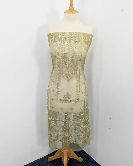 Fancy Embroidered Organza 2PC Unstitched