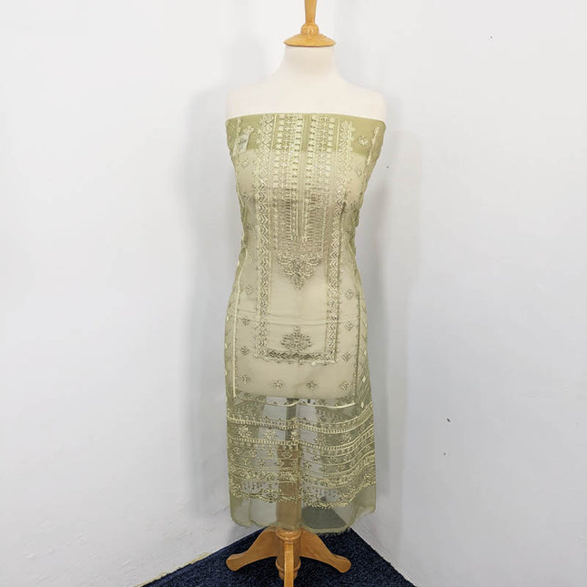 Fancy Embroidered Organza 2PC Unstitched
