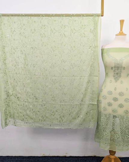 Embroidered Chiffon with Chikankari Work 2PC Unstitched