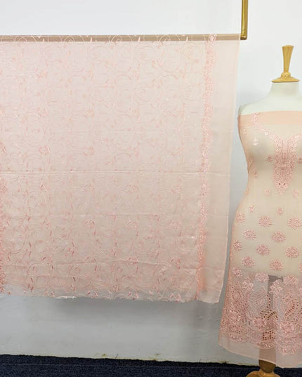 Embroidered Chiffon with Chikankari Work 2PC Unstitched