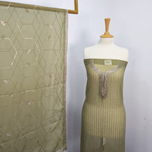 Load image into Gallery viewer, Fancy Embroidered Chiffon
