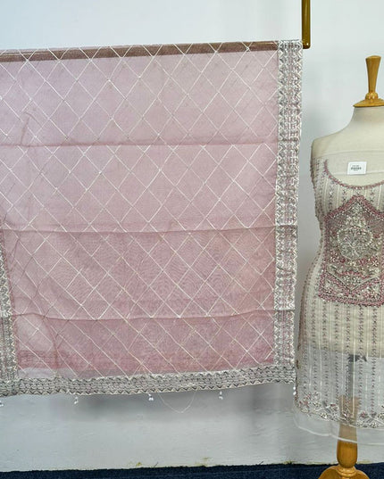 Fancy Embroidered Net 2PC Unstitched