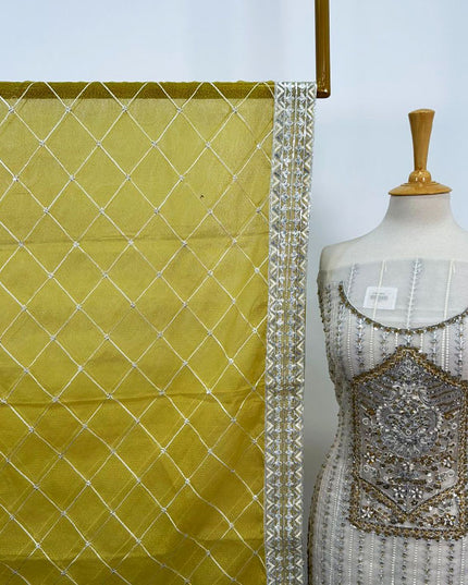 Fancy Embroidered Net 2PC Unstitched