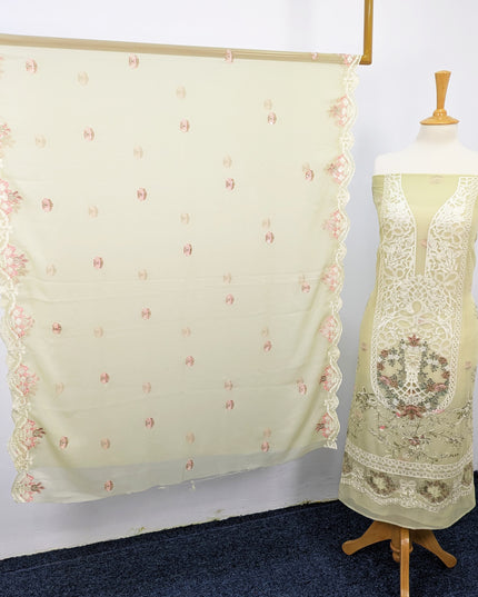 Embroidered Chiffon With Chikankari Work