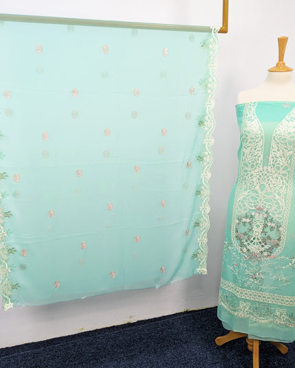 Embroidered Chiffon With Chikankari Work