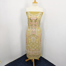 Load image into Gallery viewer, Embroidered Chiffon With Chikankari Work
