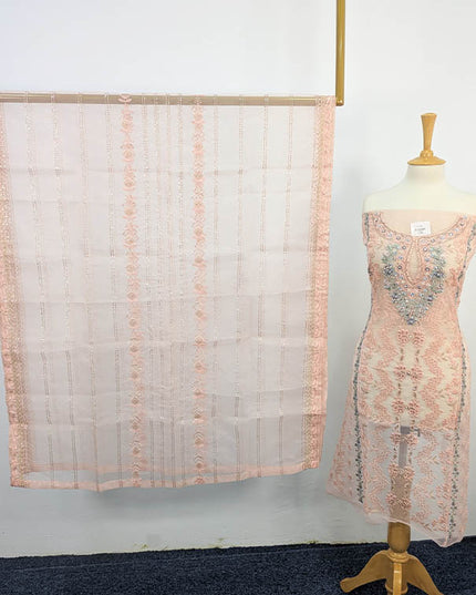 Organza With Sequence Embroidered Pulse Sitara Work