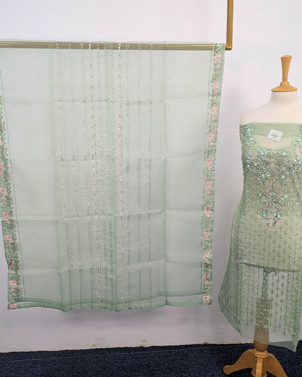 Organza With Sequence Embroidered Pulse Sitara Work