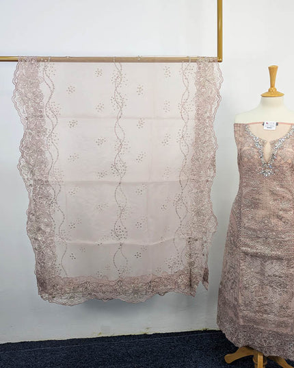 Chic Organza Net Semi-Stitched 3PC Suit – Apka Libas