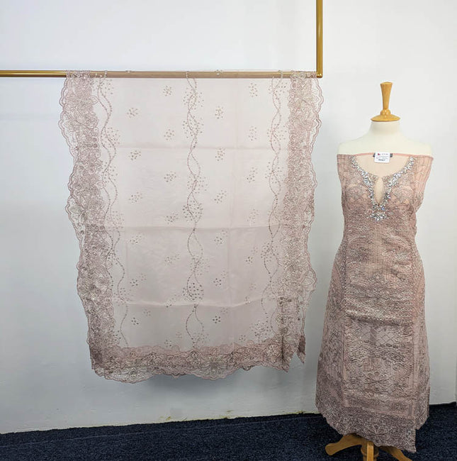 Chic Organza Net Semi-Stitched 3PC Suit – Apka Libas
