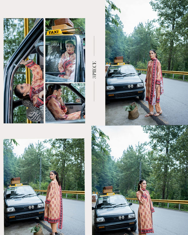Printed Airjet khaddar 3PC Unstitched - Zesh Vol 2