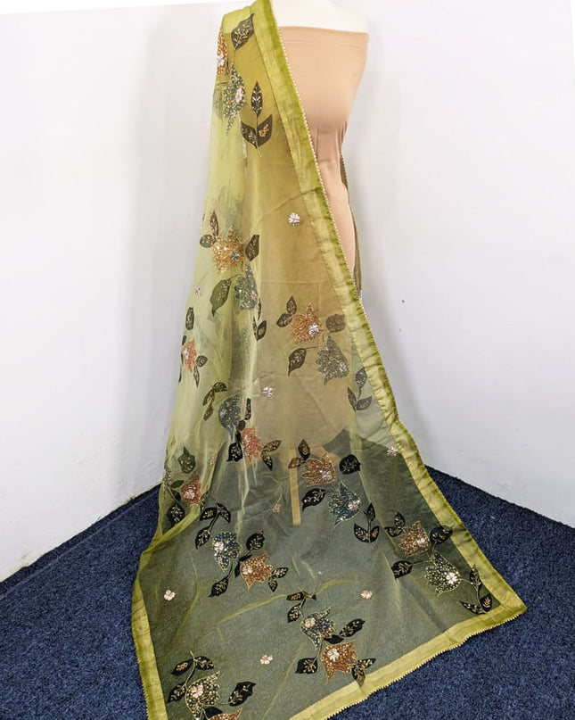 Fancy Organza with Oil Paint, Gotta & Stone Work Dupatta
