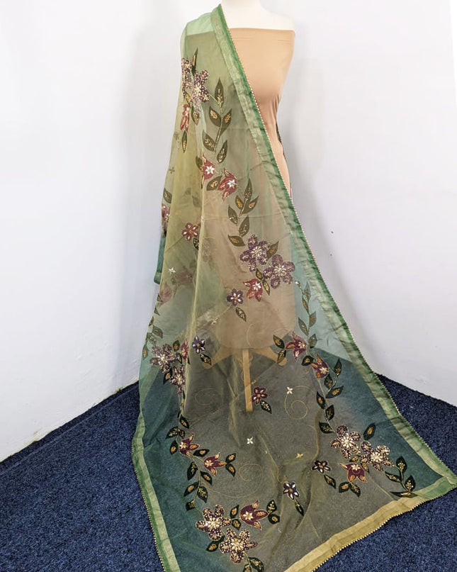 Premium Organza with Oil Paint, Gotta & Stone Work Dupatta (Ready To Wear)