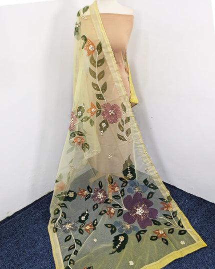 Fancy Organza with Oil Paint, Gotta & Stone Work Dupatta