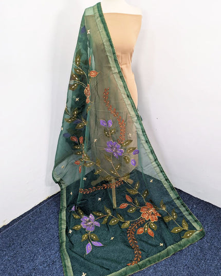 Organza with Oil Paint, Gotta & Stone Work Dupatta