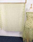 Light Lime Green