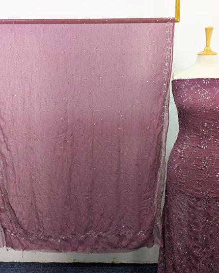 Chiffon with Full Jaal Handmade Mukesh Work 2PC Unstitched