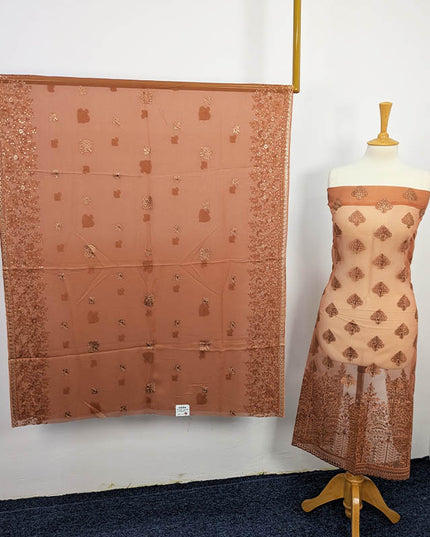 Embroidered Organza Sitara  Work With Chiffon Dupatta Work