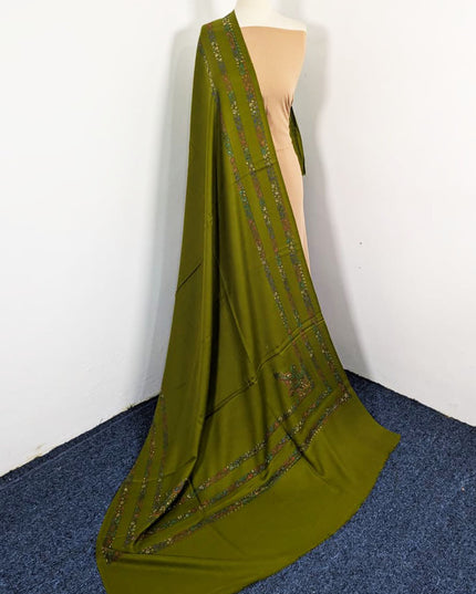 Embroidered Wool With 4 Sided Border Shawl (Ready To Wear)