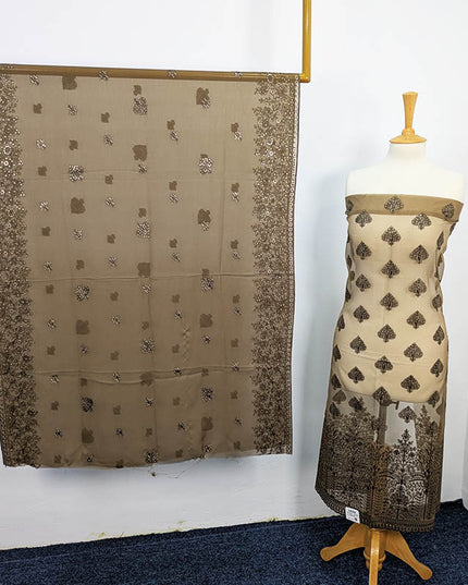 Embroidered Organza Sitara  Work With Chiffon Dupatta Work