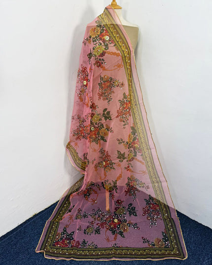 Fancy Multicolor Organza with Mirror Work Dupatta