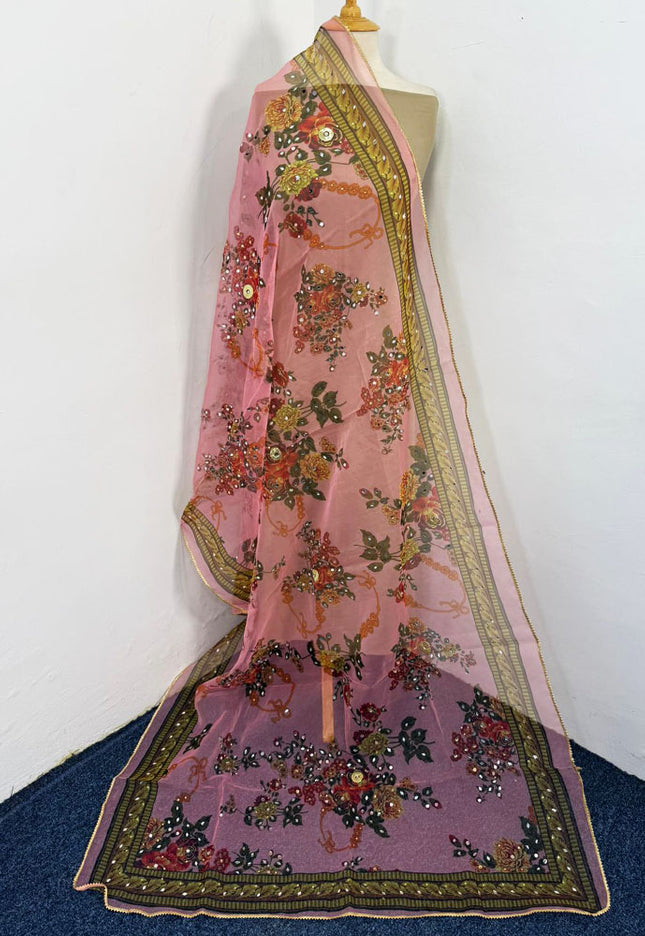 Fancy Multicolor Organza with Mirror Work Dupatta