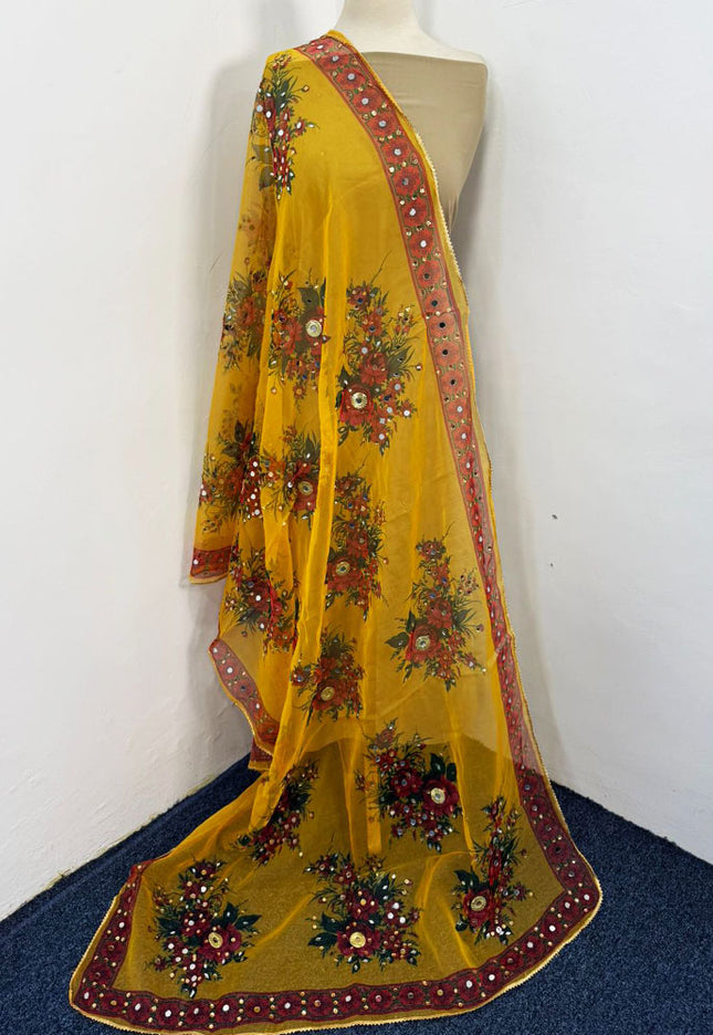 Multicolor Organza with Mirror Work Dupatta (Ready To Wear)