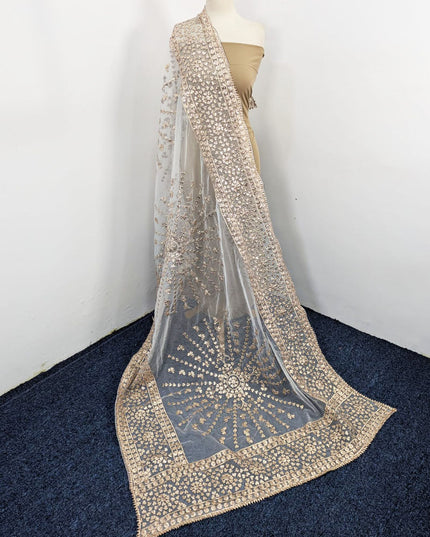 Organza with Full Jaal Gotta Work Dupatta (Ready To Wear)