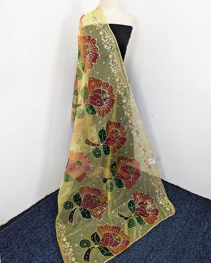 Embroidered + Printed Organza with Mirror Sitara Work Dupatta