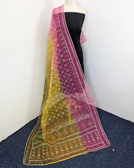 Fancy Block Print Chunnri Organza with Mirror Sitara Work Dupatta