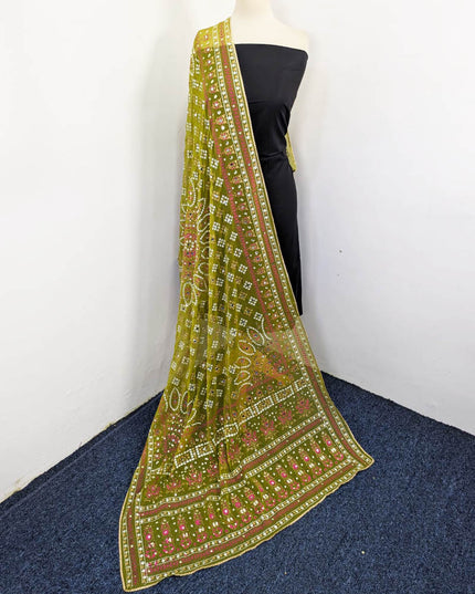 Block Print Chunnri Organza with Mirror Sitara Work Dupatta
