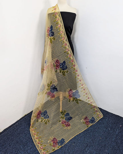 Fancy Organza with 3D Mirror + Sitara Work Dupatta