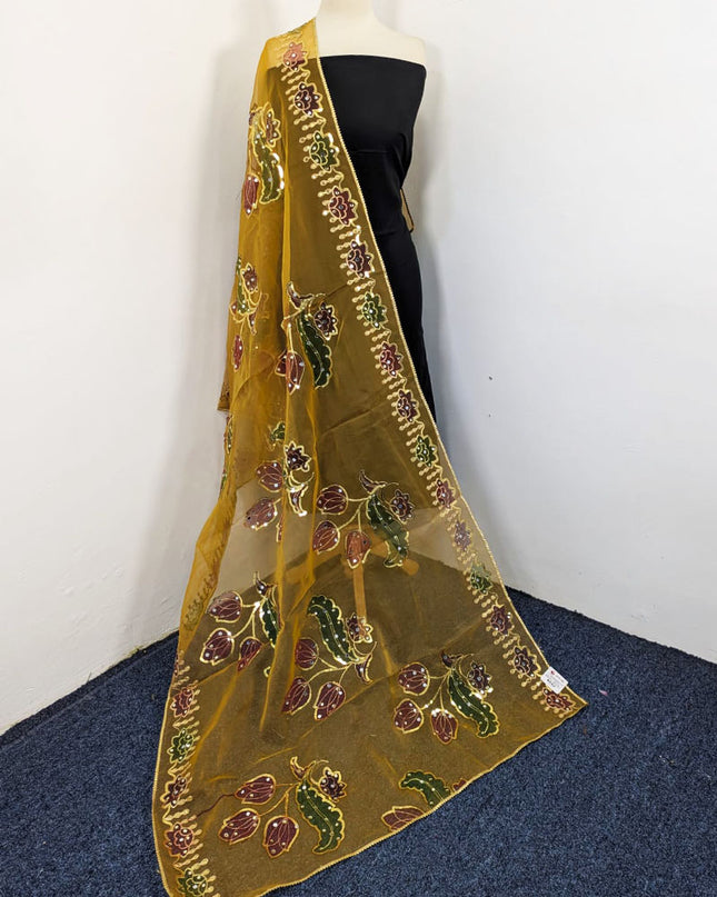 Fancy Organza with 3D Mirror + Sitara Work Dupatta