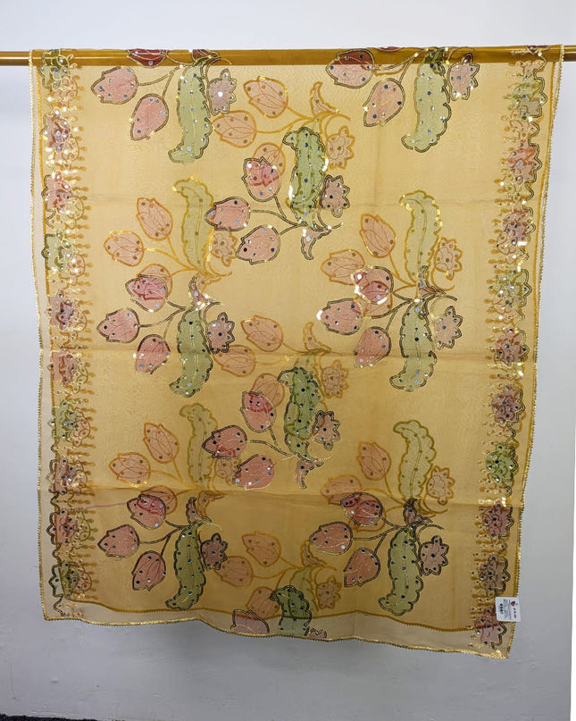 Fancy Organza with 3D Mirror + Sitara Work Dupatta