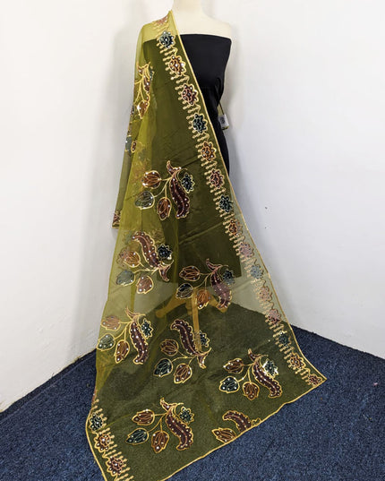 Fancy Organza with 3D Mirror + Sitara Work Dupatta