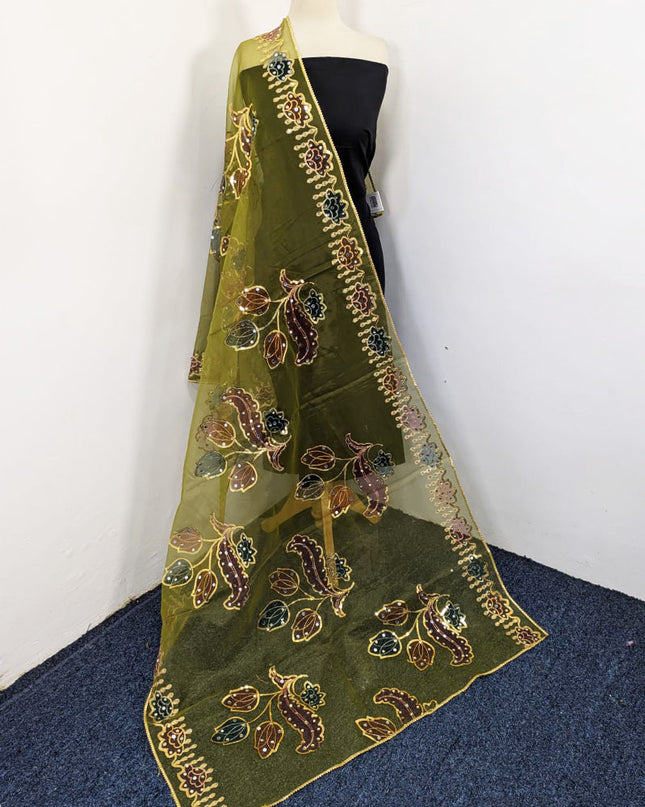 Fancy Organza with 3D Mirror + Sitara Work Dupatta