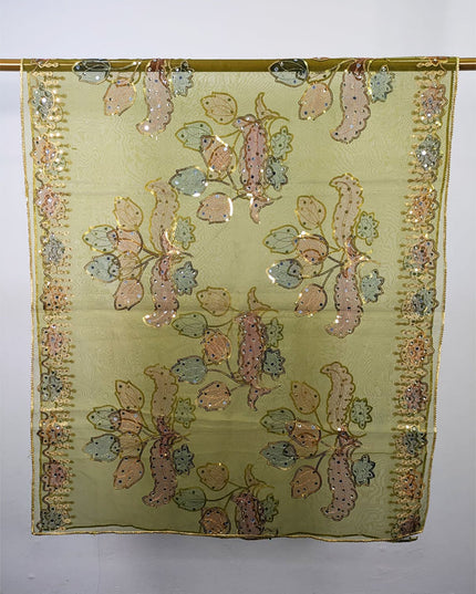 Fancy Organza with 3D Mirror + Sitara Work Dupatta