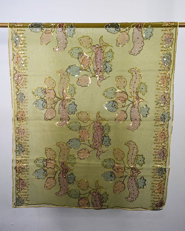 Fancy Organza with 3D Mirror + Sitara Work Dupatta