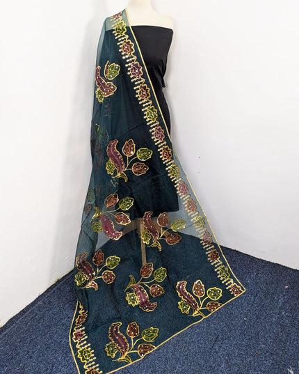 Fancy Organza with 3D Mirror + Sitara Work Dupatta