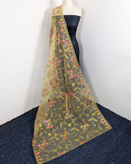 Fancy Multicolor Embroidered Organza with Sitara Work Dupatta
