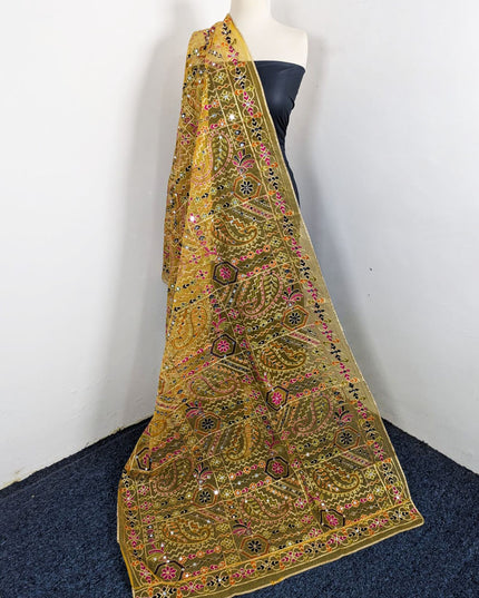 Premium Multicolor Embroidered Organza with Sitara Work Dupatta